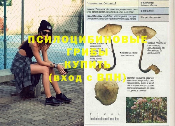 таблы Зерноград