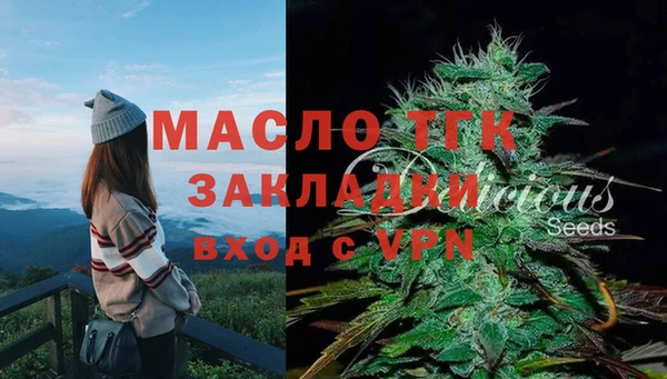 дмт Зеленодольск