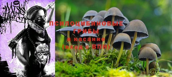 дмт Зеленодольск